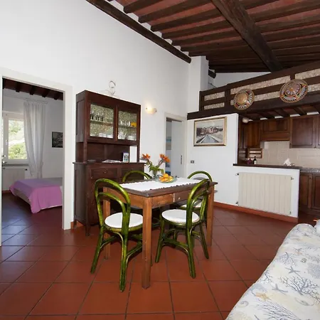 L'oleandro Colle D'orano