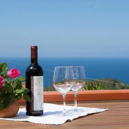 公寓 L'oleandro Colle D'orano